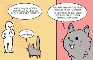 adopter-chat-2