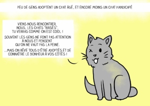 adopter-chat-6